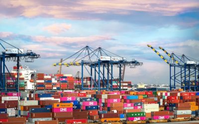 Vivamus sagittis lacus vel augue laoreet rutrum faucibus dolor auctor